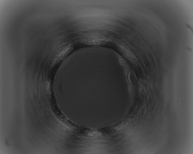 X0000092320258200710051302