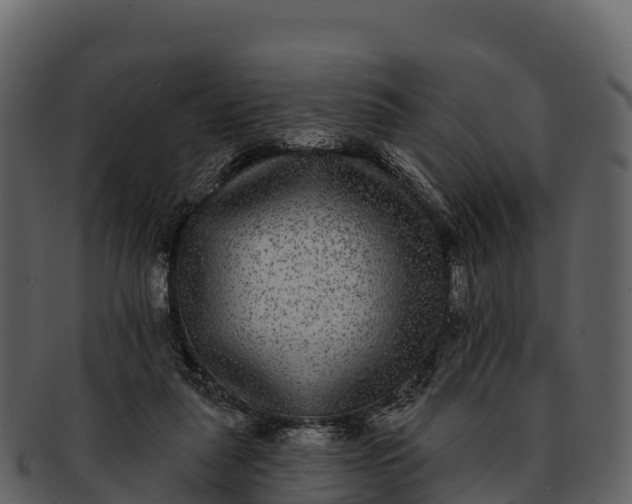 X0000092320259200710051302