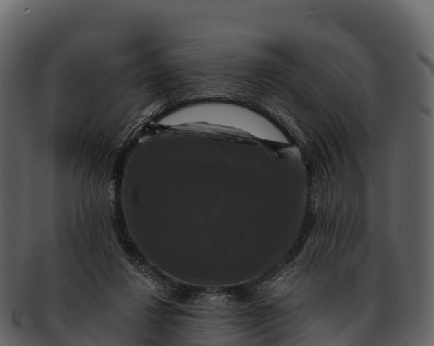 X0000092320260200710051302