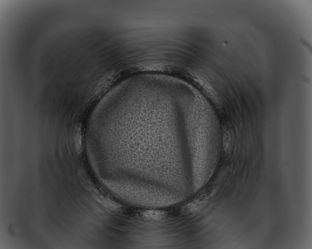 X0000092320261200710051302