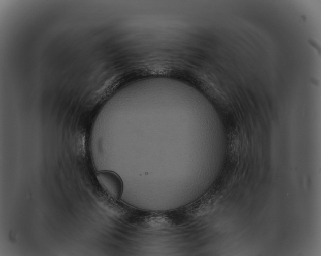 X0000092320262200710051302