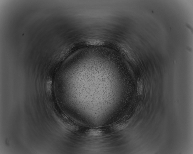 X0000092320263200710051302