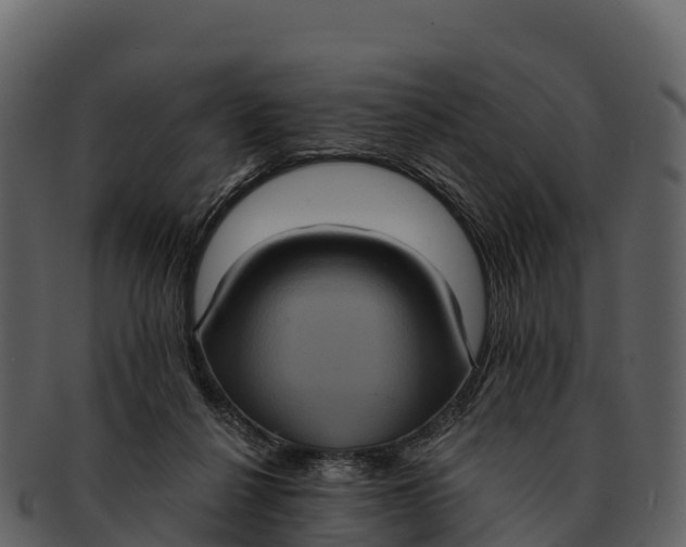 X0000092320264200710051302