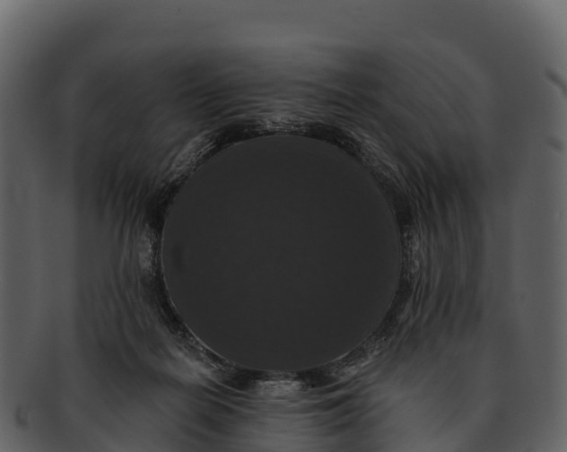 X0000092320266200710051302