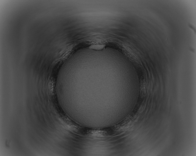 X0000092320268200710051302