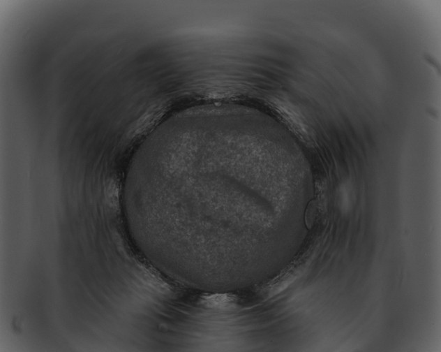 X0000092320269200710051302