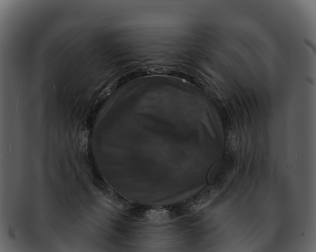 X0000092320271200710051302