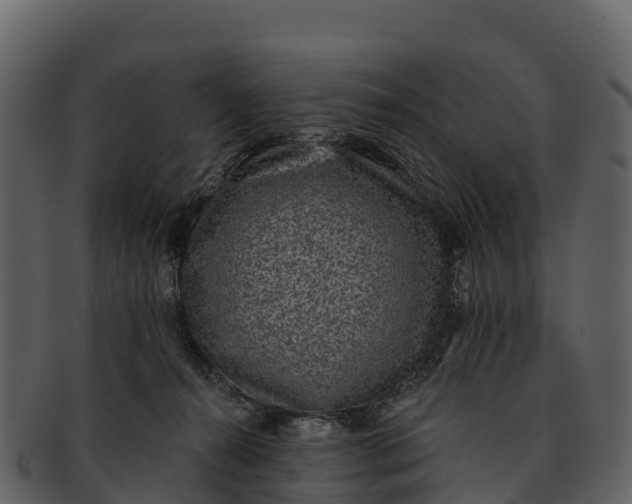 X0000092320272200710051302