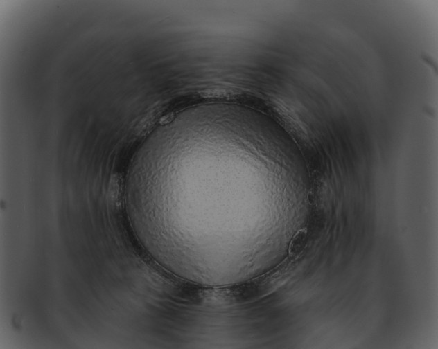 X0000092320273200710051302