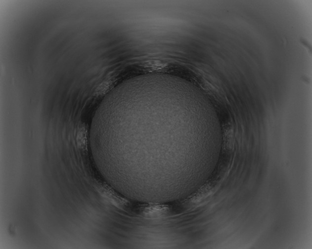 X0000092320274200710051302