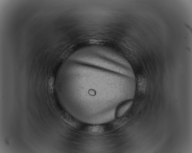 X0000092320275200710051302