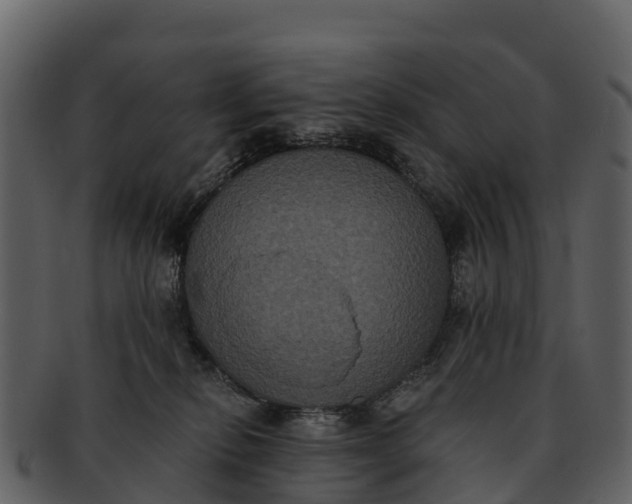 X0000092320278200710051302