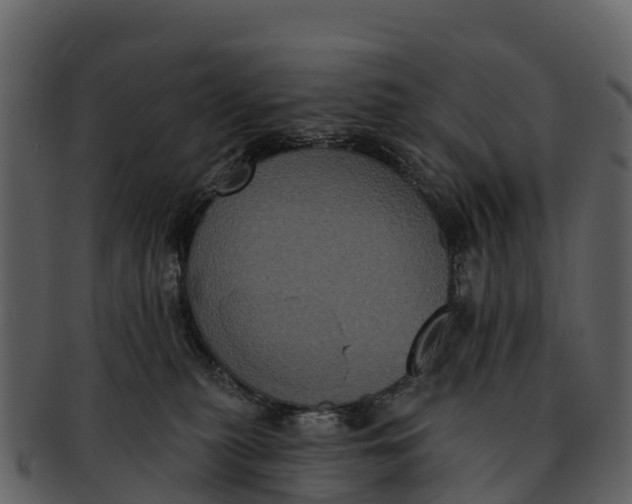 X0000092320279200710051302