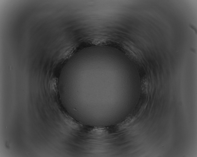 X0000092320280200710051302