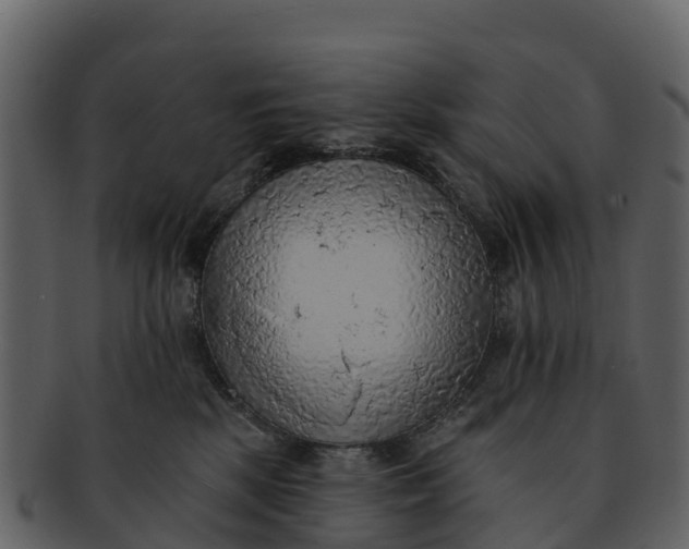 X0000092320281200710051302
