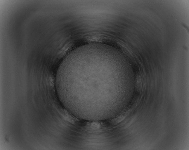X0000092320282200710051302