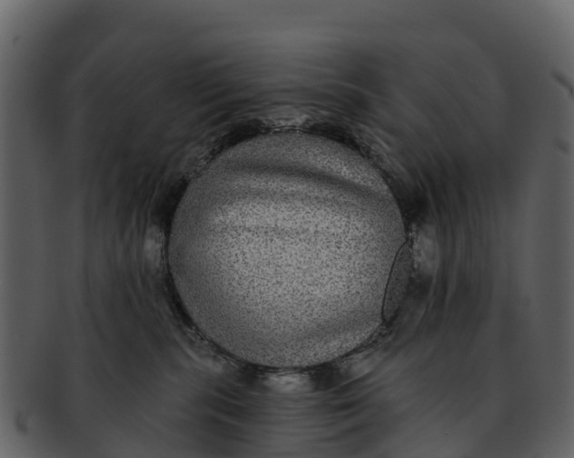 X0000092320283200710051302