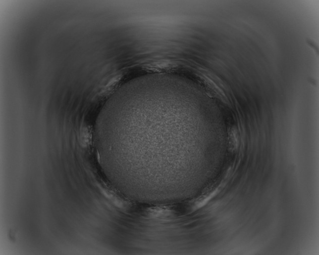 X0000092320284200710051302