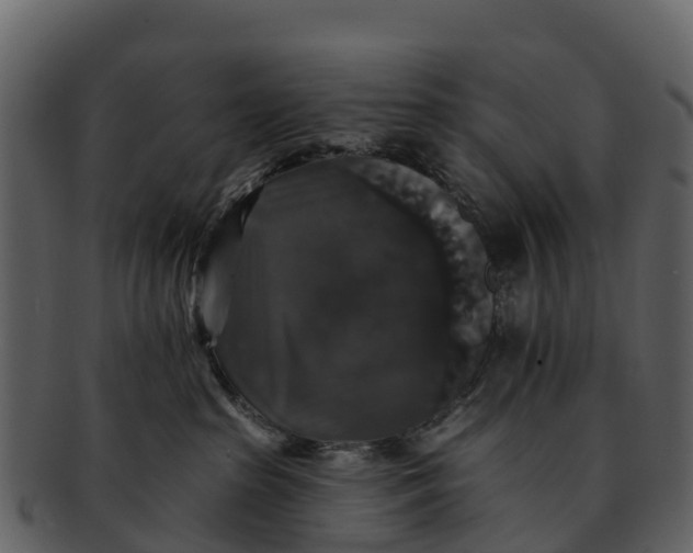 X0000092320285200710051302