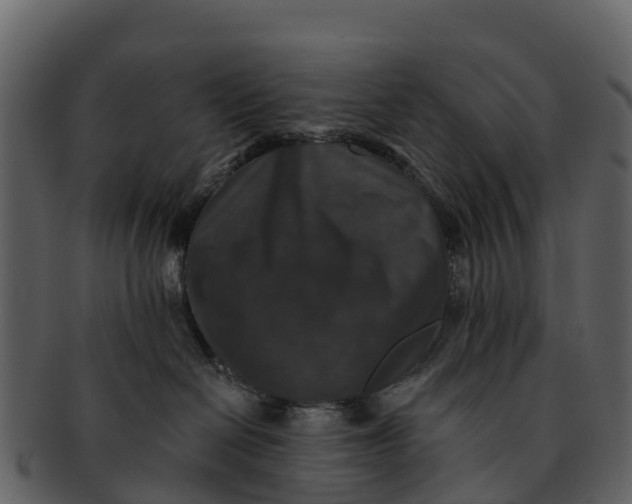 X0000092320286200710051302