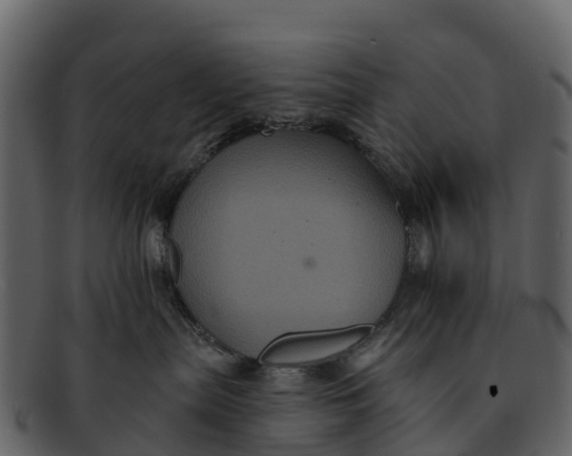 X0000092320287200710051302