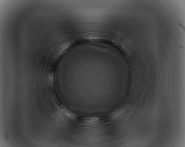 X0000092320288200710051302