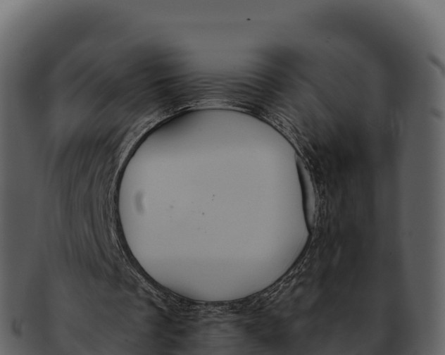 X0000092320289200710051302