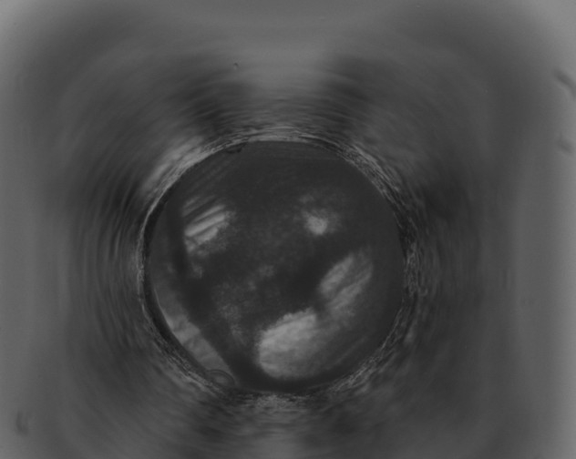 X0000092320290200710051301