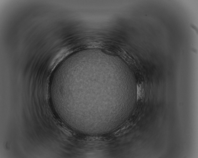 X0000092320291200710051301