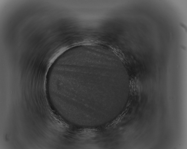 X0000092320292200710051301