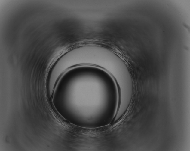 X0000092320293200710051301