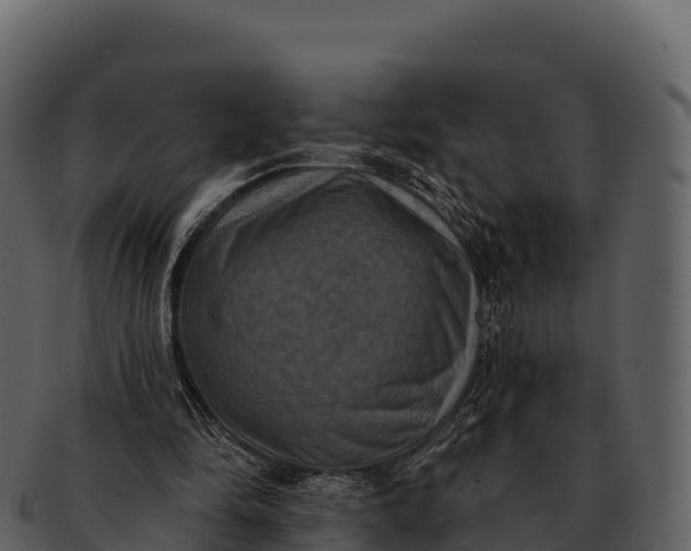 X0000092320294200710051301