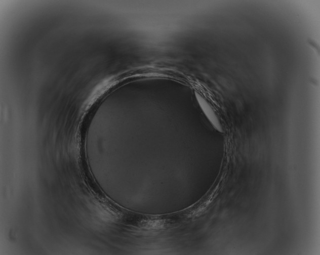 X0000092320295200710051301