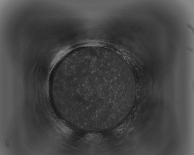 X0000092320296200710051301