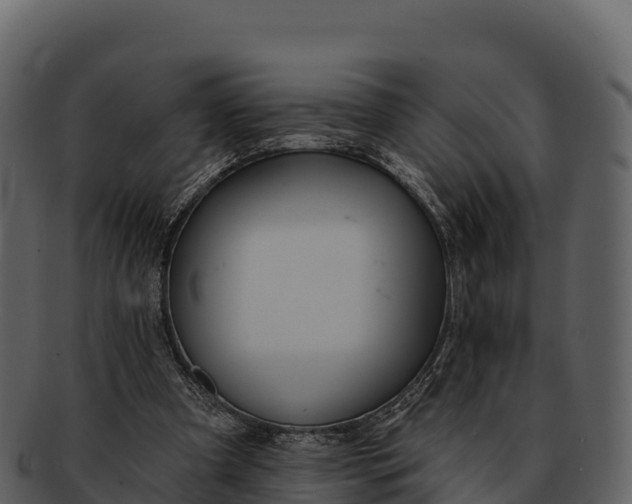 X0000092320297200710051301