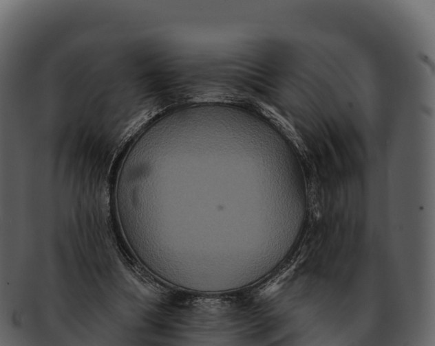 X0000092320298200710051301
