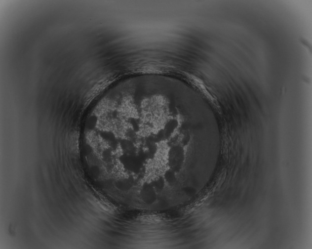X0000092320299200710051301