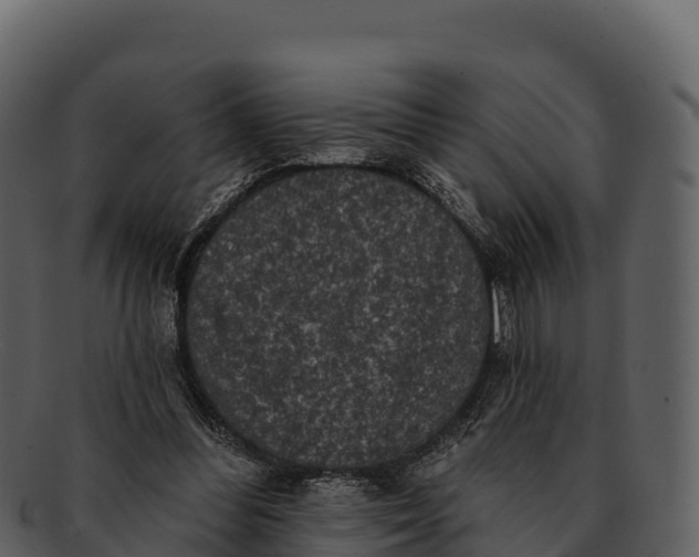 X0000092320300200710051301