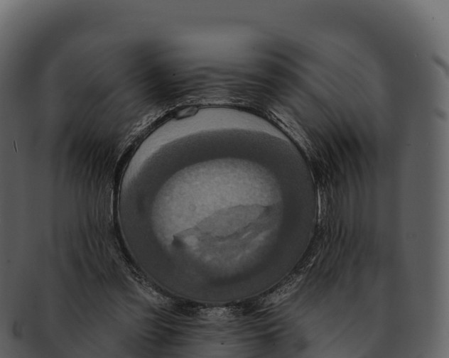 X0000092320301200710051301
