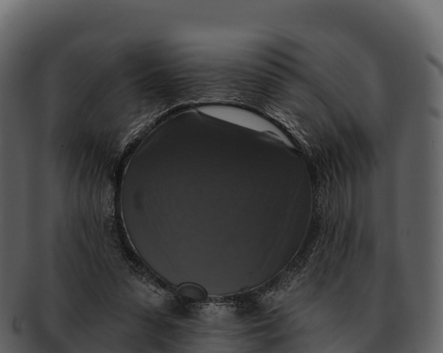 X0000092320303200710051301