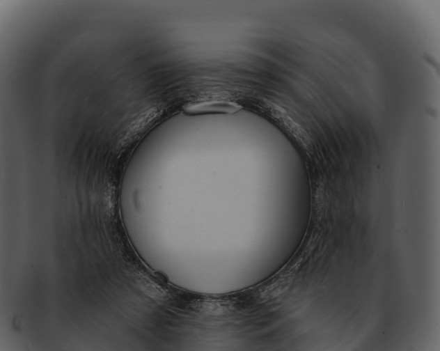 X0000092320305200710051301