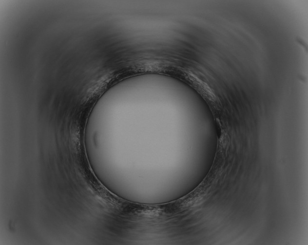 X0000092320306200710051301
