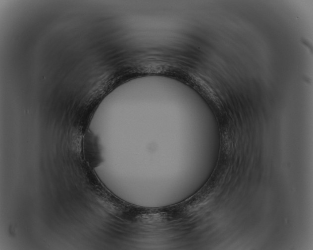 X0000092320307200710051301