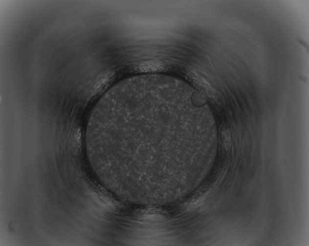 X0000092320308200710051301