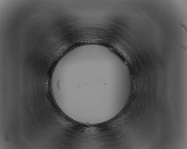X0000092320309200710051301
