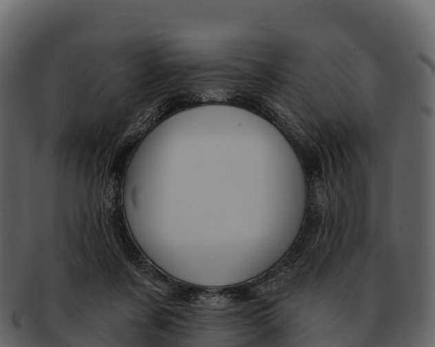 X0000092320311200710051301