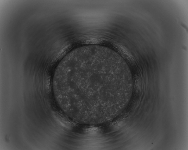 X0000092320312200710051301