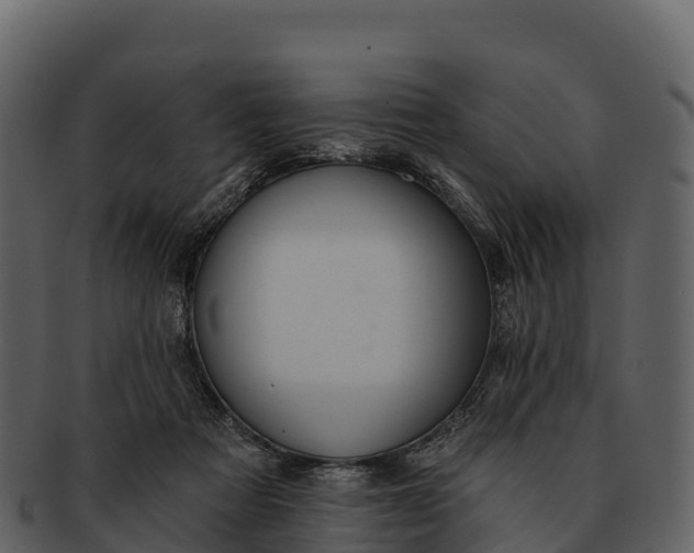 X0000092320313200710051301