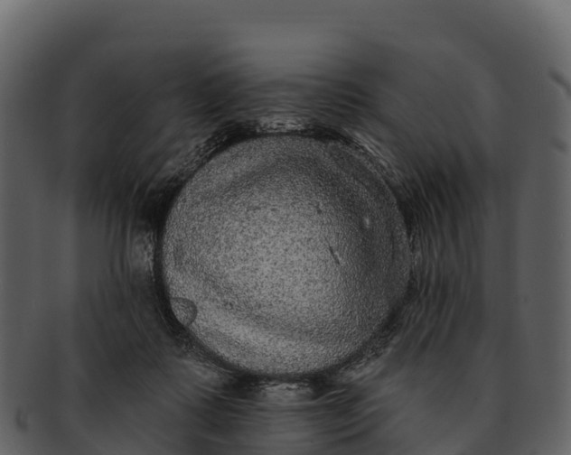 X0000092320315200710051301