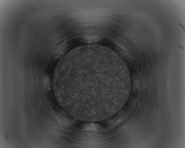X0000092320316200710051301